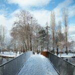 Scenic winter view of a snowy footbridge surrounded by trees in Drilon, Albania.