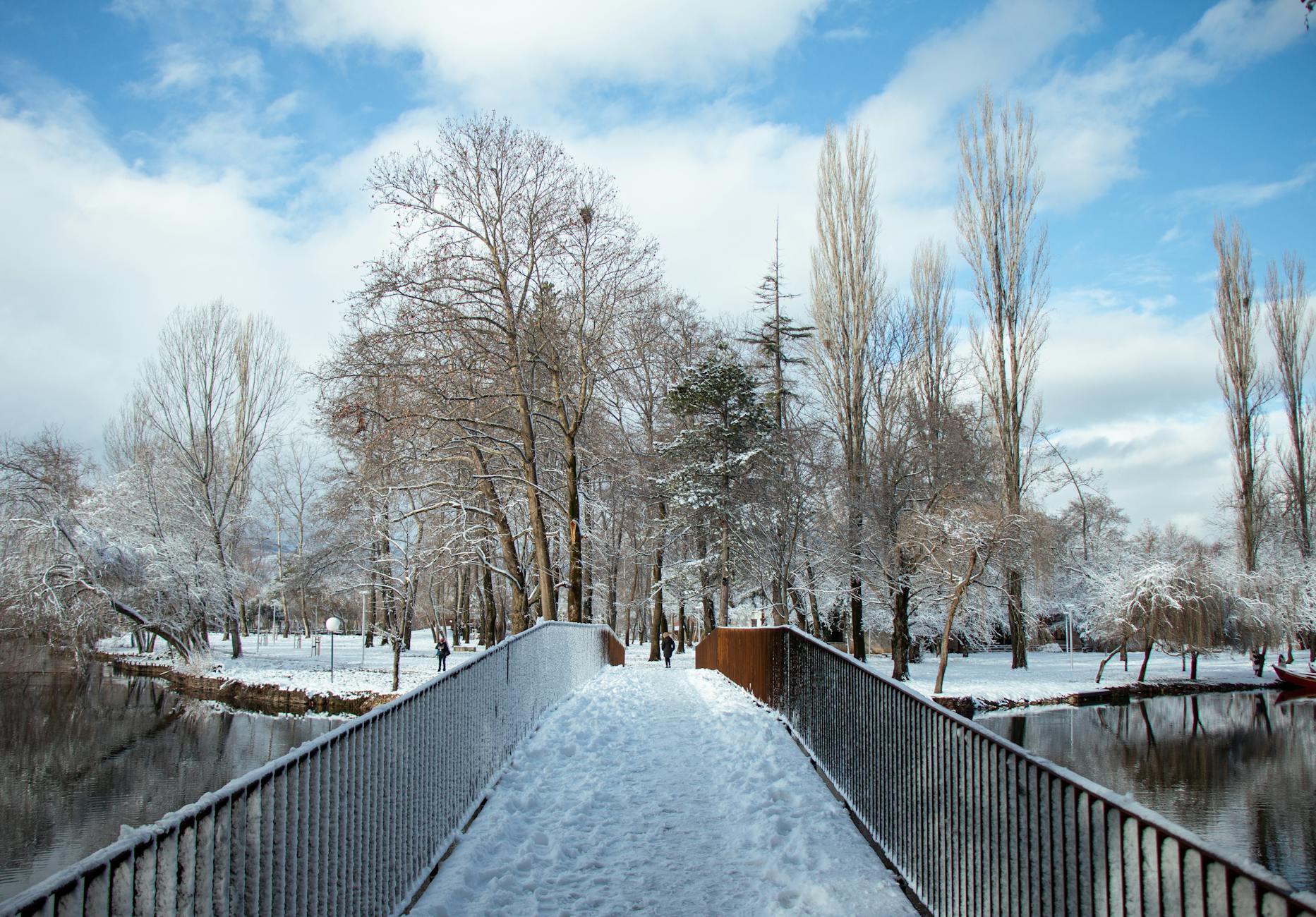 Scenic winter view of a snowy footbridge surrounded by trees in Drilon, Albania.