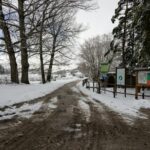 A serene snow-covered path through a winter forest, evoking peace and solitude.