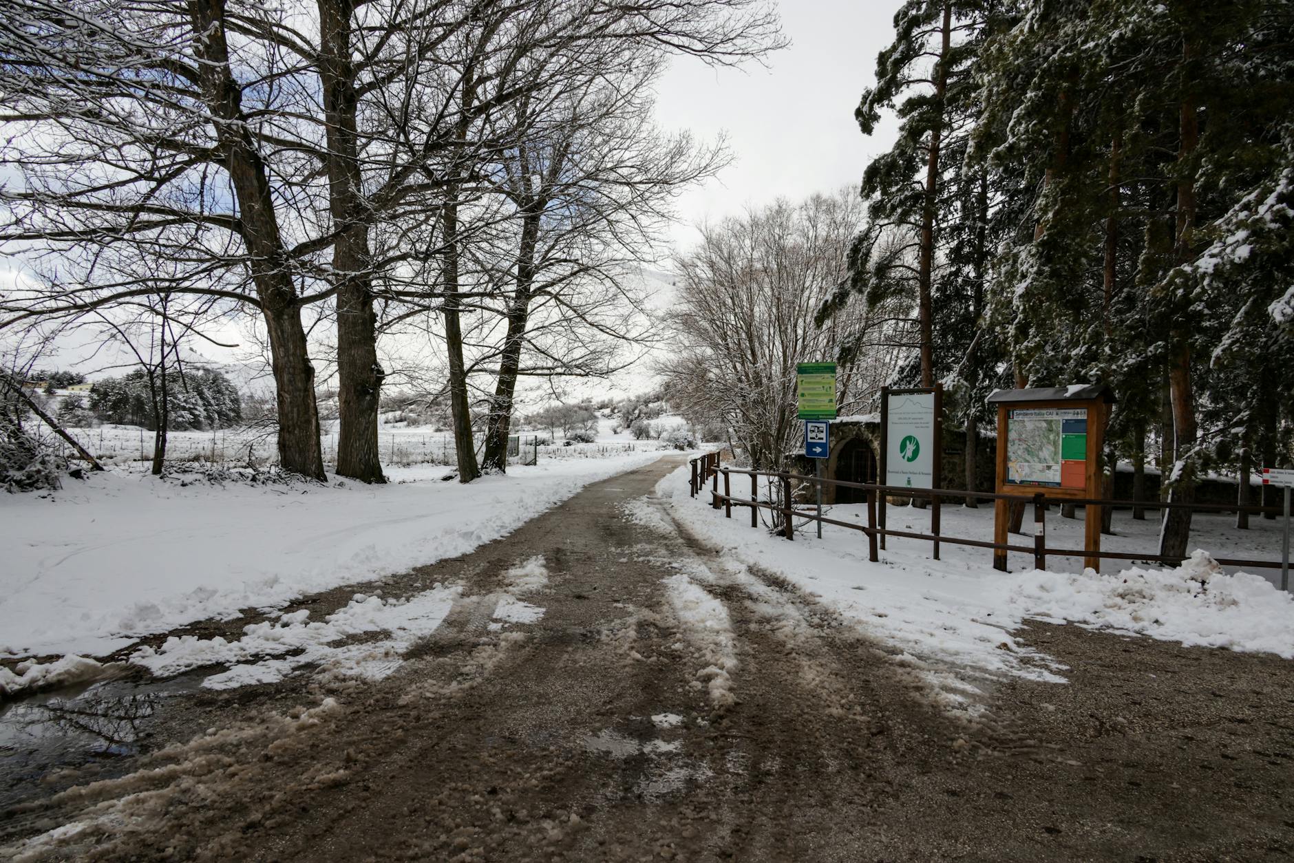 A serene snow-covered path through a winter forest, evoking peace and solitude.