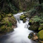 Captivating view of a forest stream flowing through moss-covered rocks in Sever do Vouga, Portugal.