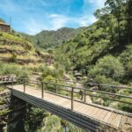 A picturesque wooden bridge spans a lush green valley in Albergaria da Serra, Portugal.
