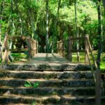 Charming wooden bridge amidst a verdant forest in Allariz, Spain, showcasing nature's beauty.