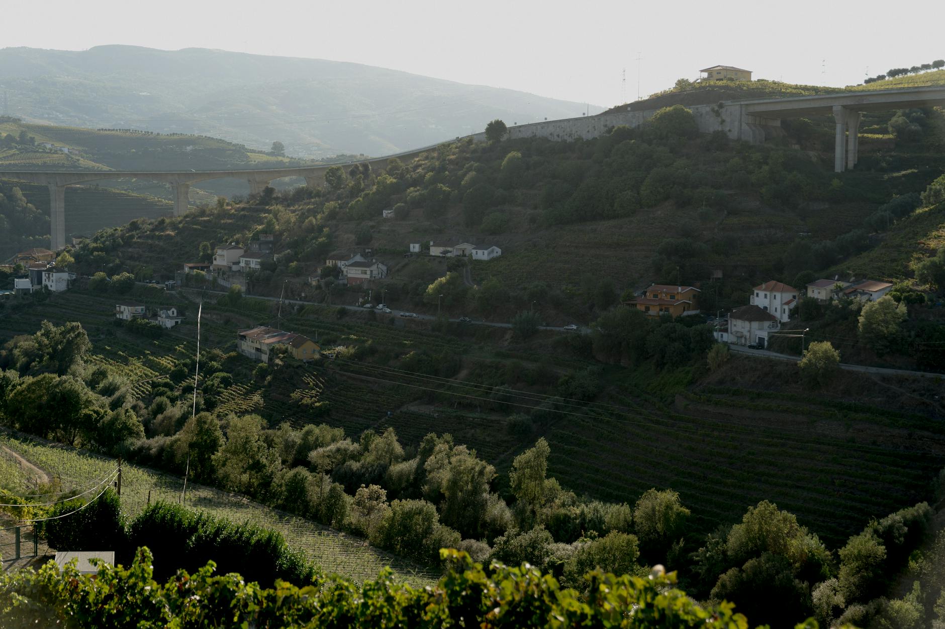 Beautiful landscape featuring a bridge over a lush mountainside with scattered houses.