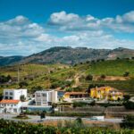 Picturesque view of lush vineyards and colorful houses in a serene countryside setting under a bright sky.