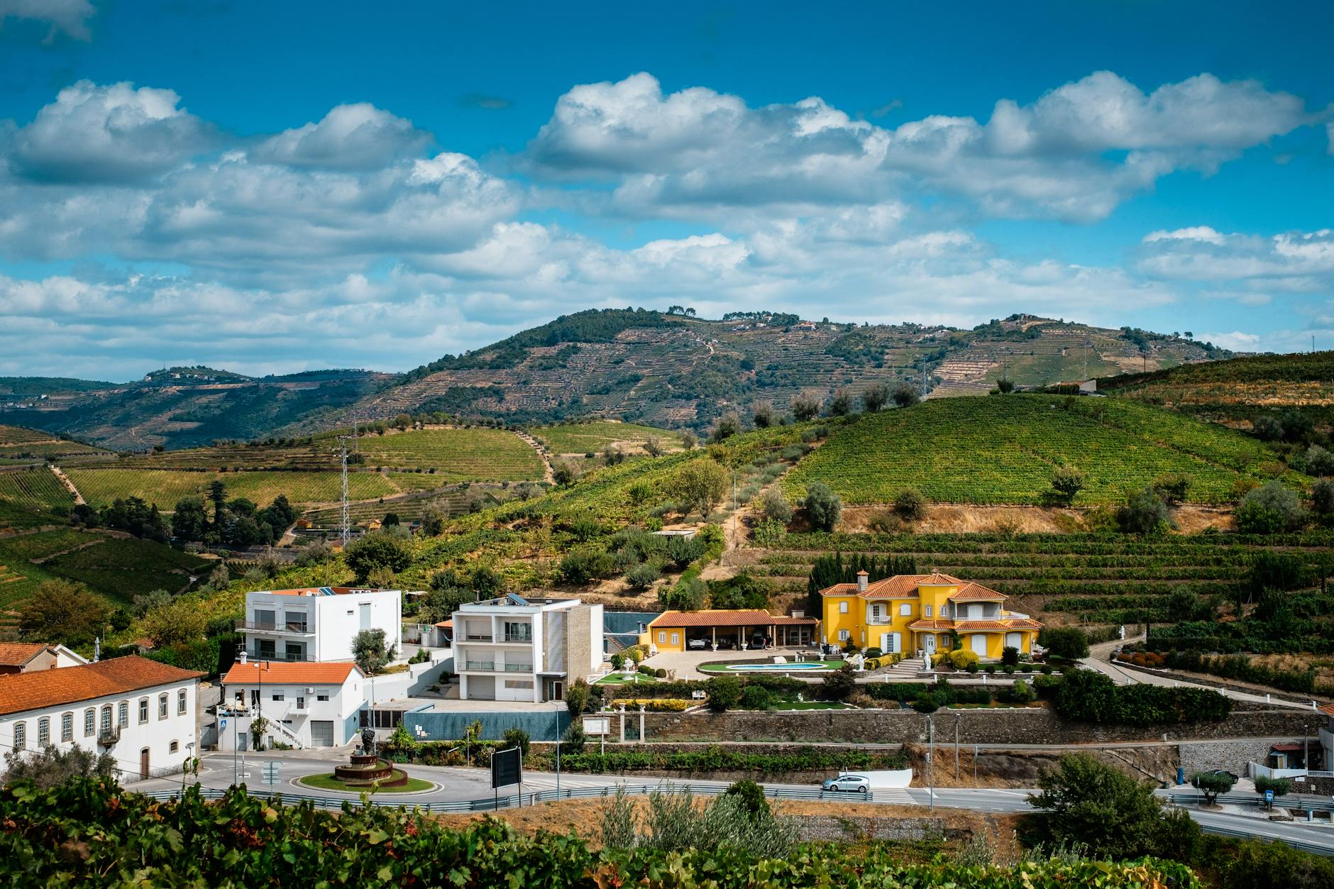 Picturesque view of lush vineyards and colorful houses in a serene countryside setting under a bright sky.