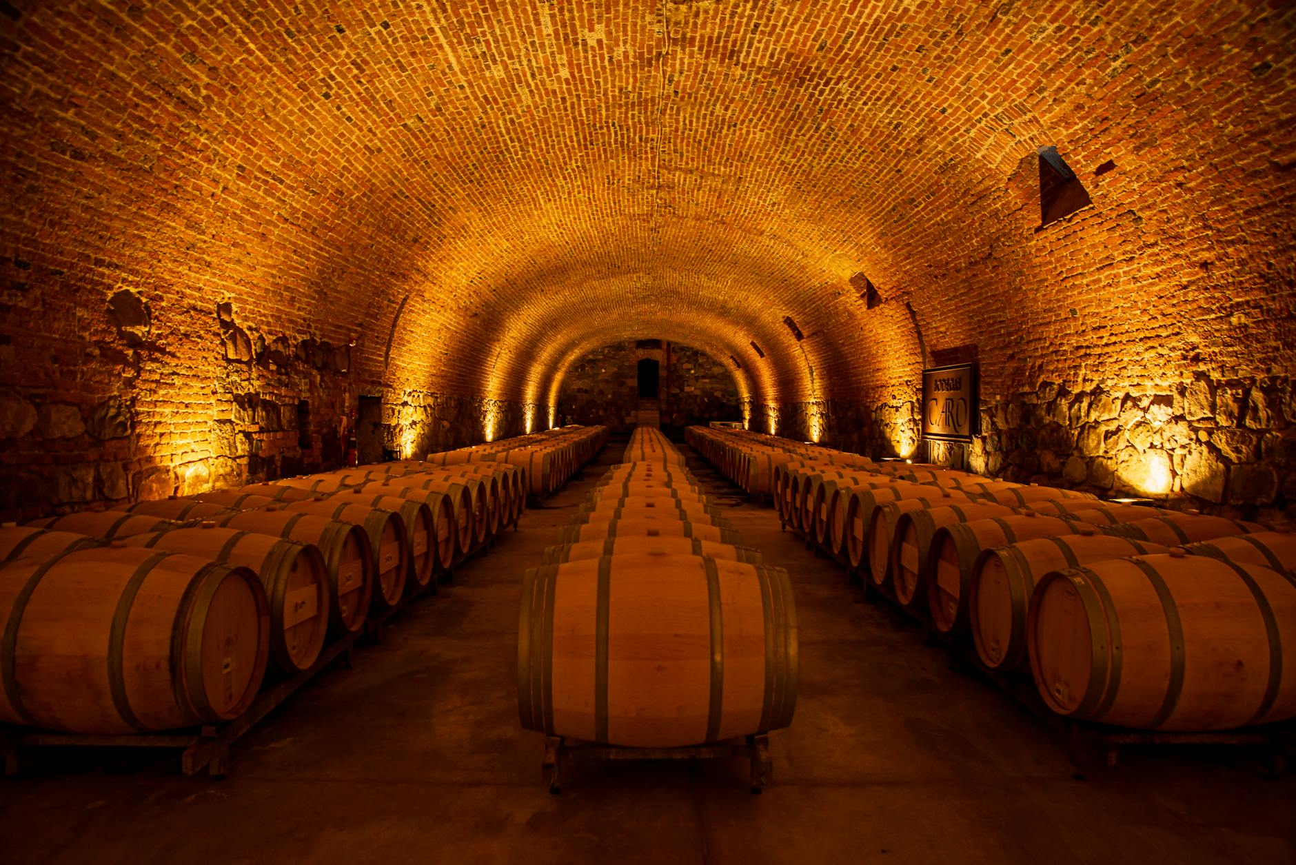 A cozy underground wine cellar in Buenos Aires, featuring rows of oak barrels under warm ambient lighting.