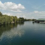 Beautiful riverside view with trees and a clear sky, perfect for nature lovers.