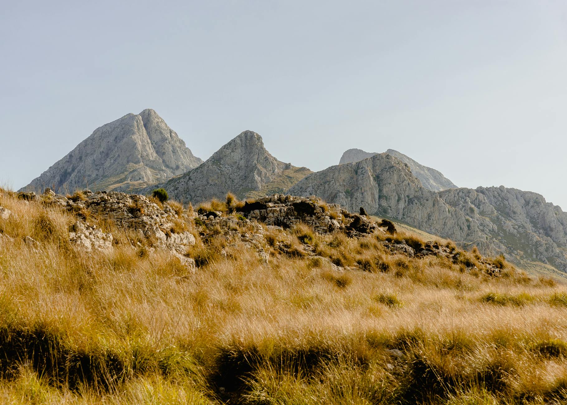 Beautiful view of the Serra de Tramuntana mountains, featuring rocky peaks and grassy slopes.
