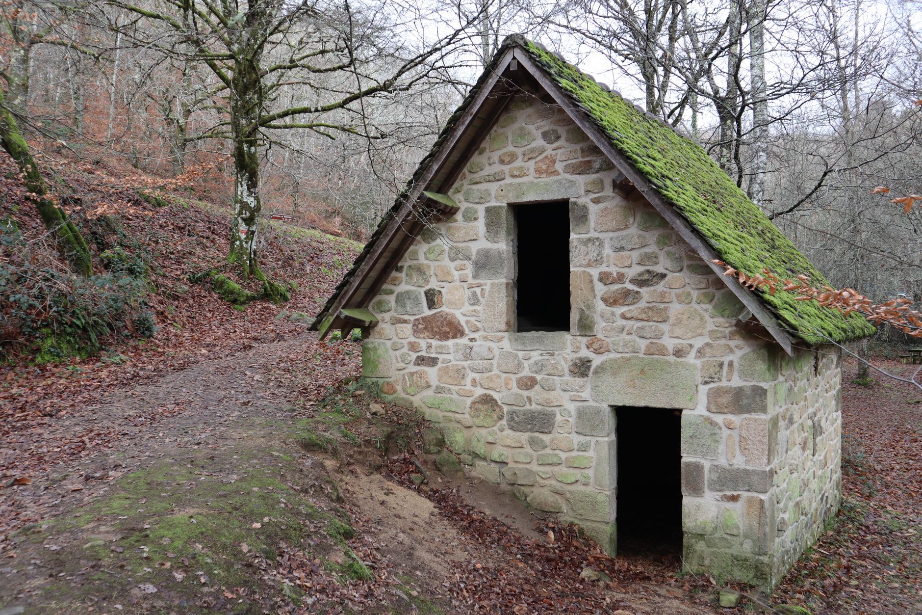 A moss-covered stone cottage in a quiet, autumn forest setting.