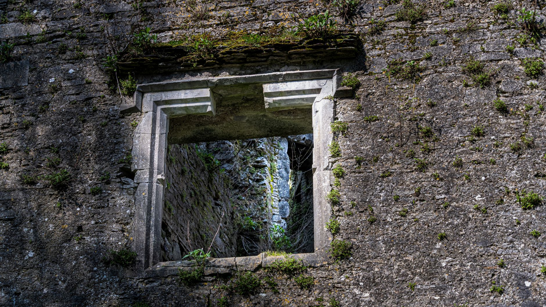 Close-up of a historical castle window in Ireland showcasing detailed stonework and moss growth.