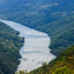 Aerial view of the lush Sil River Gorge in Galicia, Spain, with vibrant green forests and winding river.