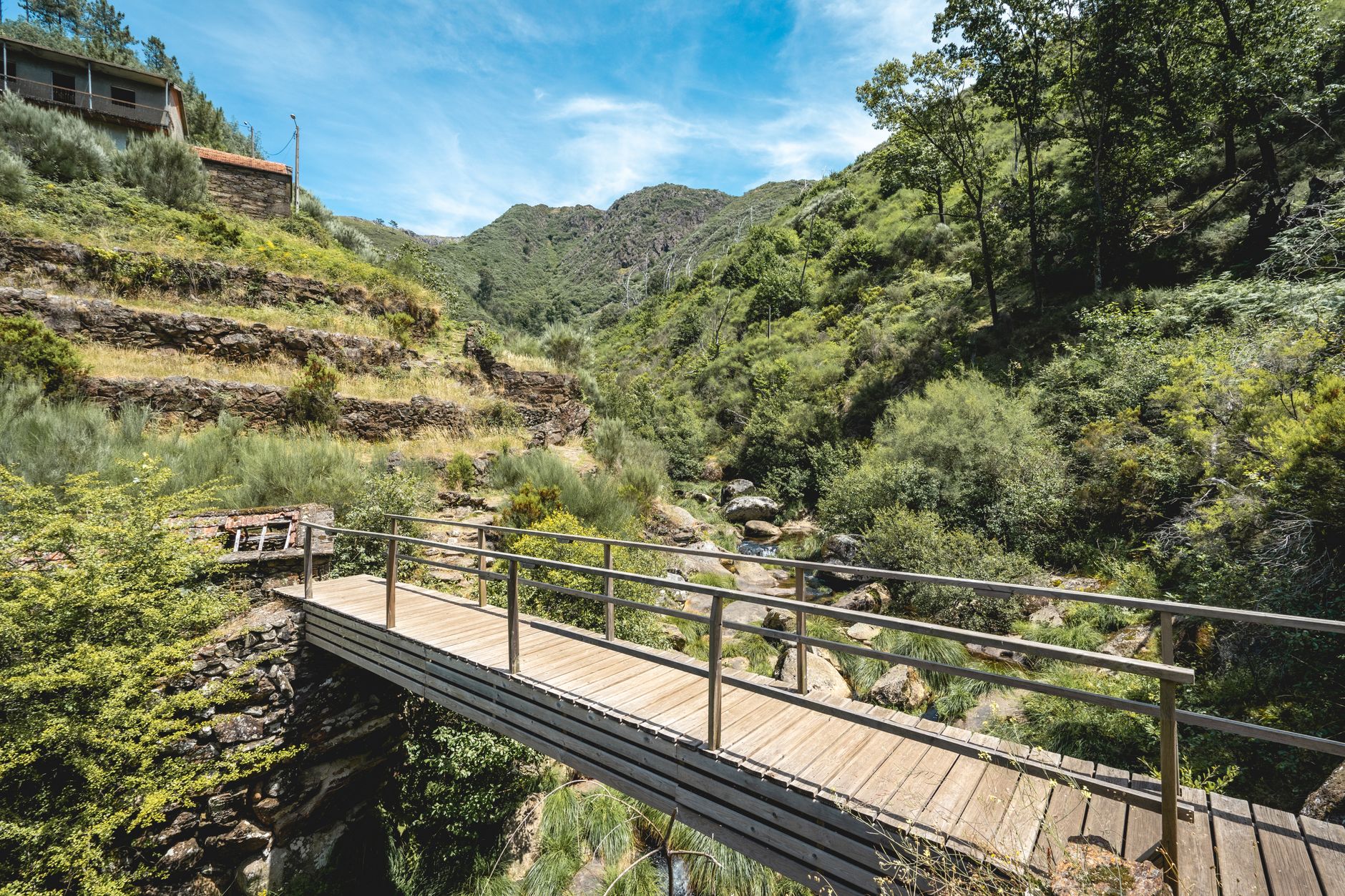 A picturesque wooden bridge spans a lush green valley in Albergaria da Serra, Portugal.