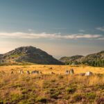Beautiful sunset view of rocky hills and grassy fields in Albergaria da Serra, Aveiro, Portugal.