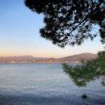 Serene view of the Miño River at sunset, framed by pine trees, capturing the tranquility of spring in Galicia.