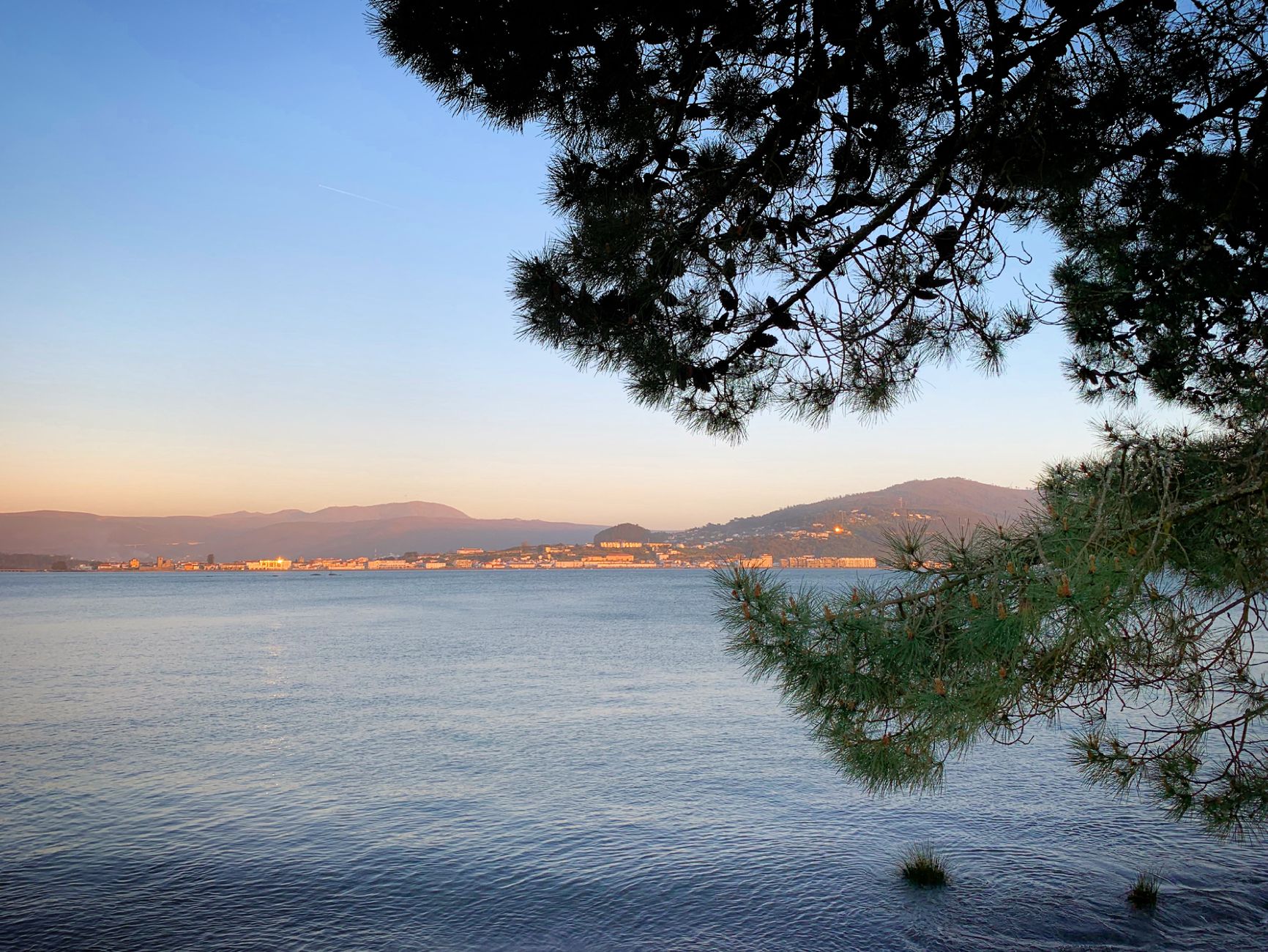 Serene view of the Miño River at sunset, framed by pine trees, capturing the tranquility of spring in Galicia.
