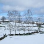 Tranquil winter scene of snow-covered fields and hills with trees under a cloudy sky.