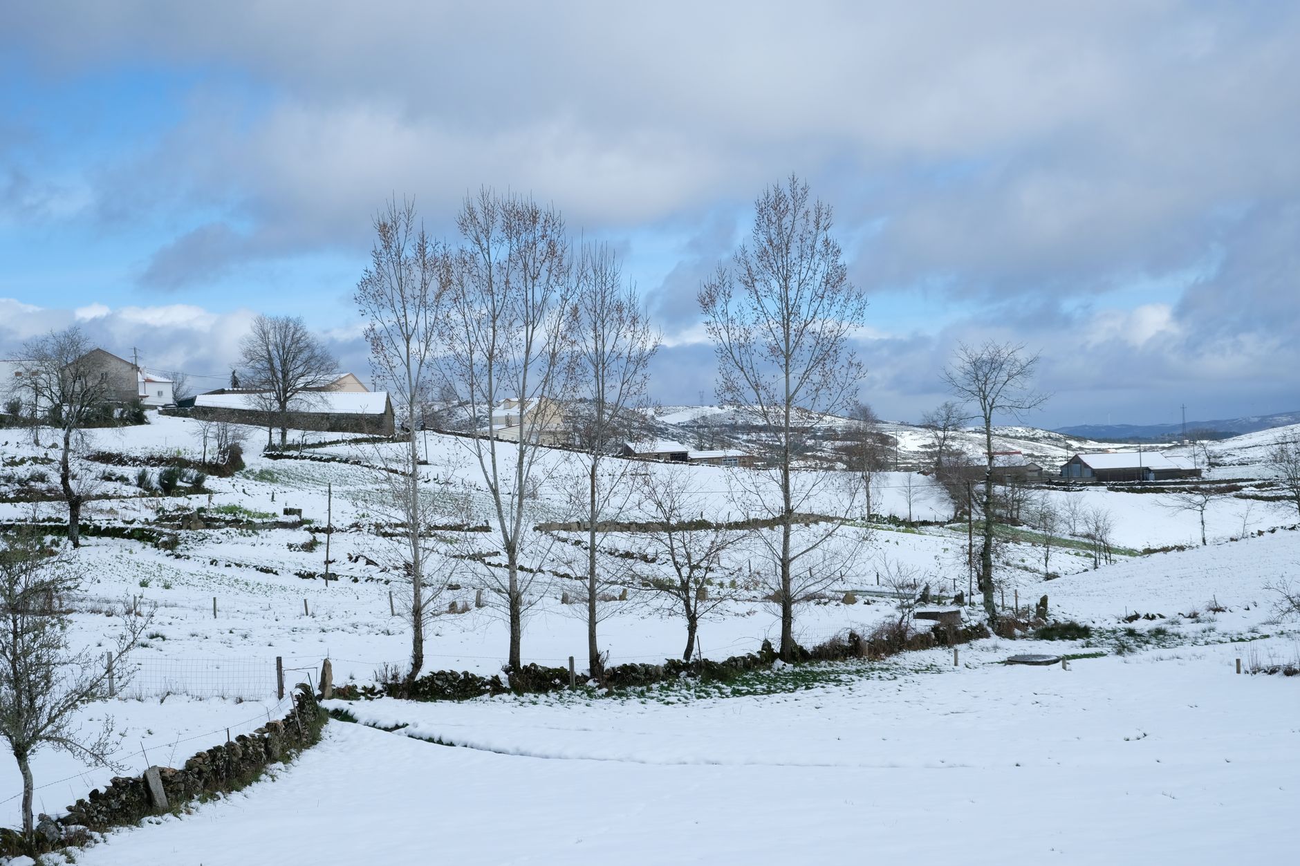 Tranquil winter scene of snow-covered fields and hills with trees under a cloudy sky.
