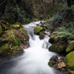 Captivating view of a forest stream flowing through moss-covered rocks in Sever do Vouga, Portugal.