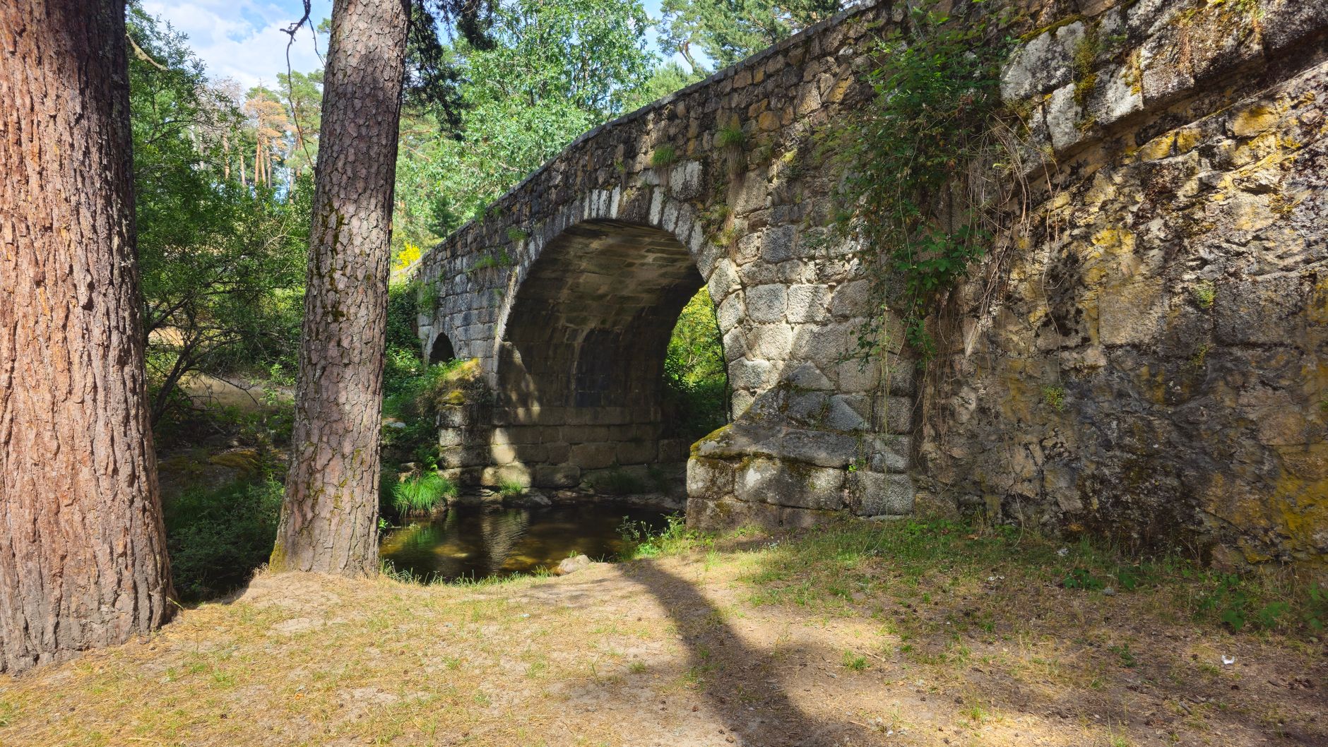 Scenic stone arch bridge in a lush forest setting, showcasing historical architecture.