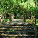 Charming wooden bridge amidst a verdant forest in Allariz, Spain, showcasing nature's beauty.