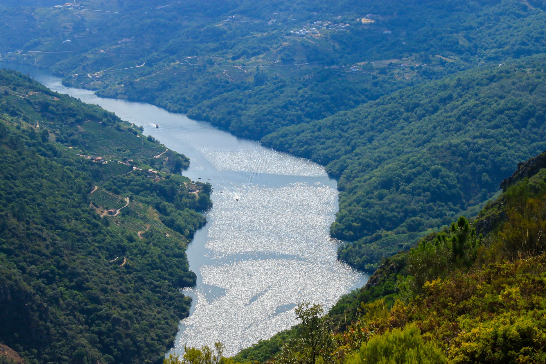 Aerial view of the lush Sil River Gorge in Galicia, Spain, with vibrant green forests and winding river.
