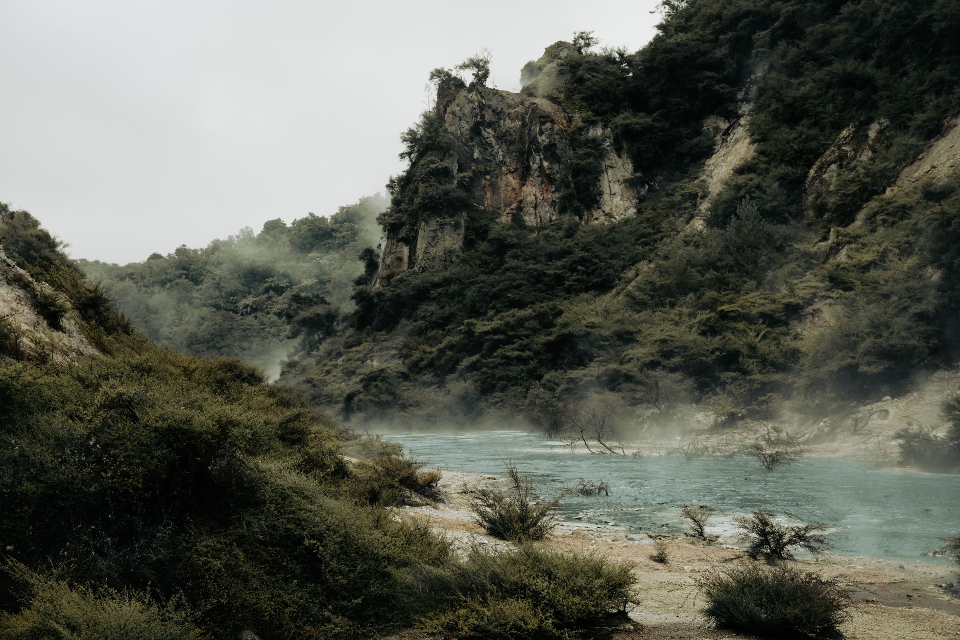 Misty geothermal landscape at Rotorua, showcasing lush vegetation and steaming waters.